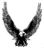 08fad7cff385cc0520416613962409d2 ASKO 96