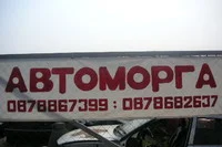 Автоморга дика