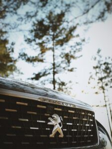 Автокъщи за Peugeot