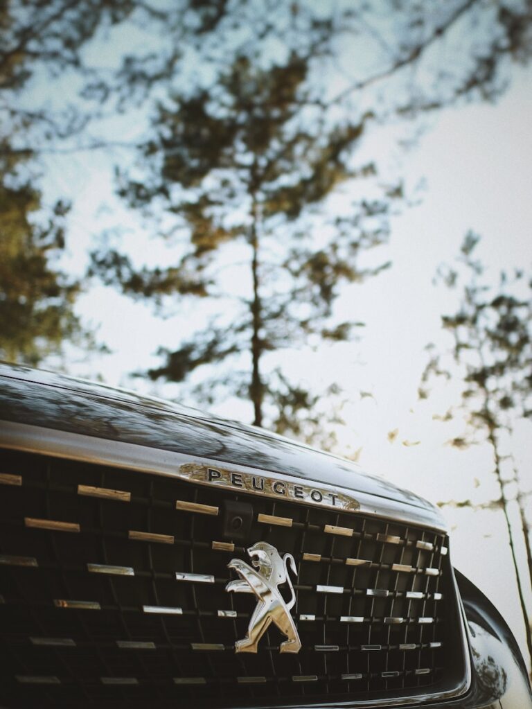 Автокъщи за Peugeot